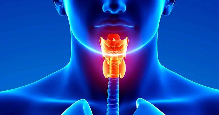  Papilomas Vocais, Pólipos e Nódulos nas Cordas Vocais