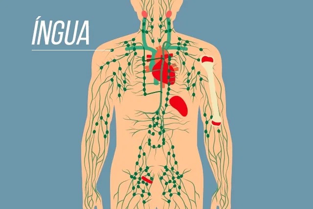 Linfonodo que não diminui