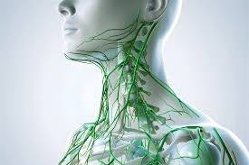 adenomegalia