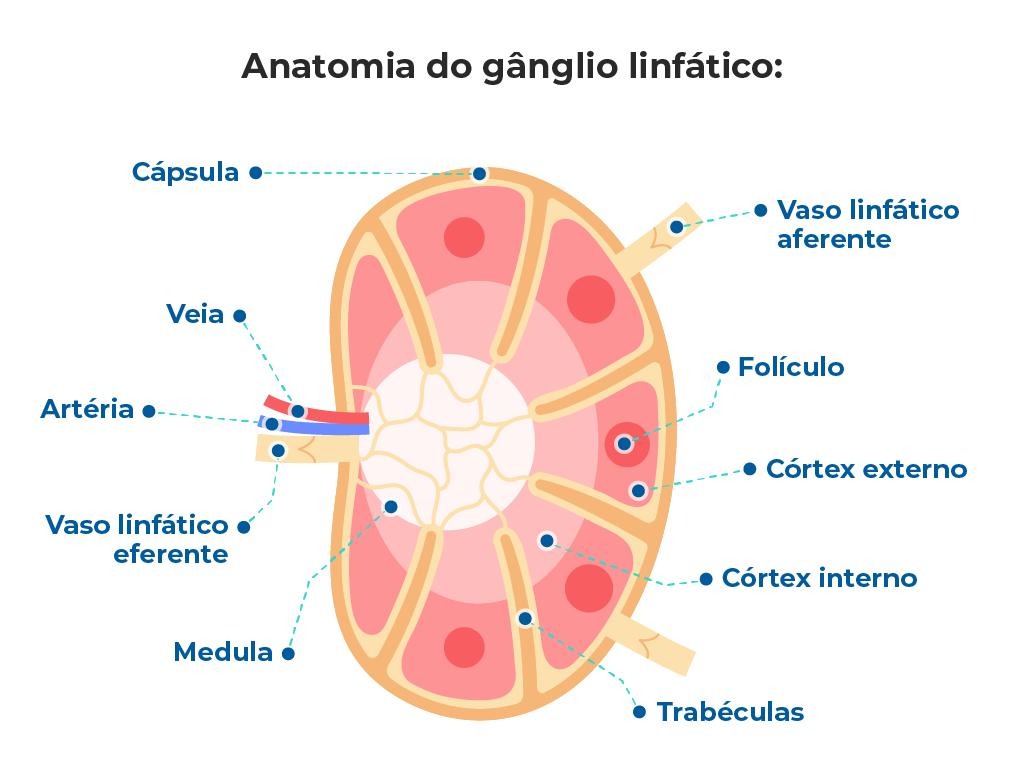 Cirurgia de Tireoide