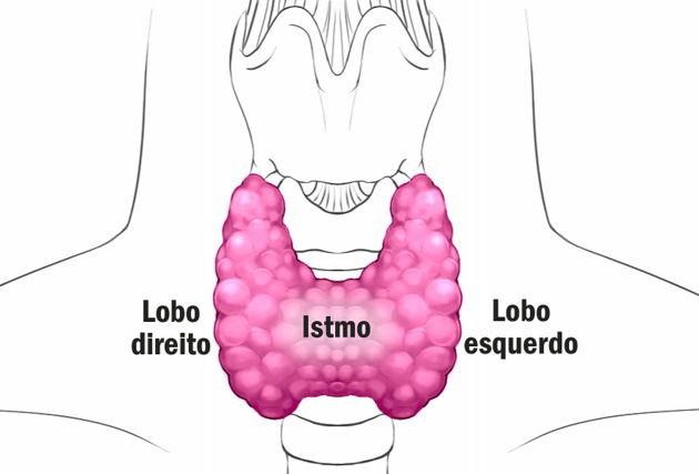 Tireoidectomia Total e Parcial