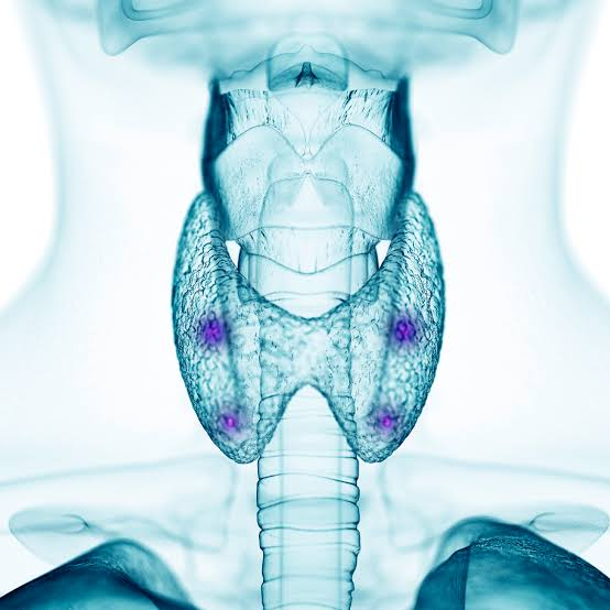 Cirurgia da Paratireoide
